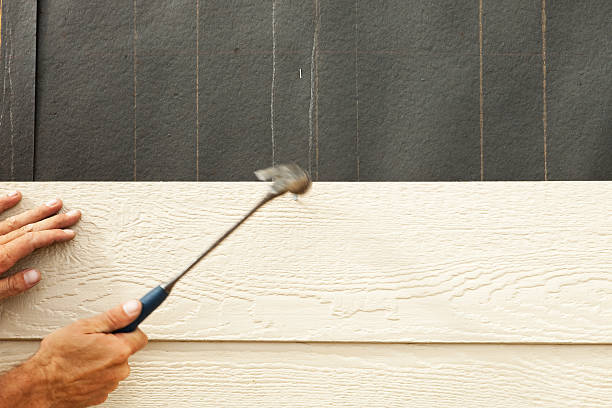 Best Vinyl Siding Installation  in Morgantown, MS